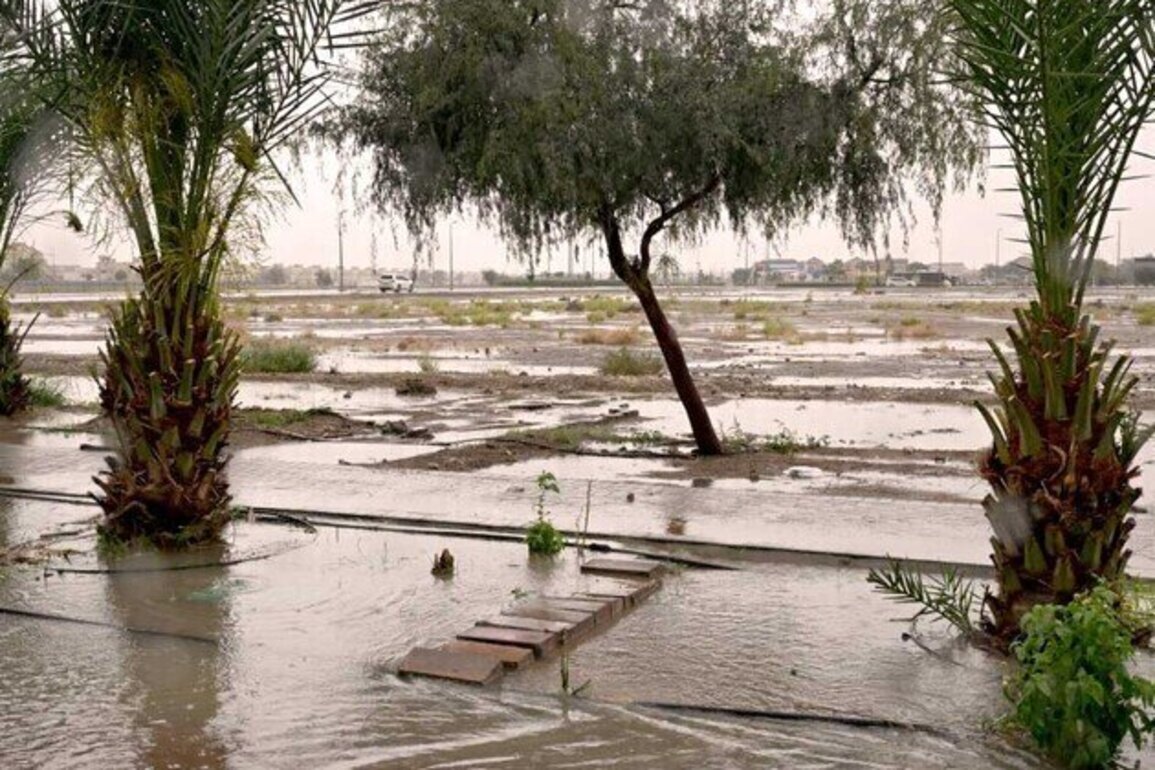 Al Tawiyen sees highest rainfall across UAE on Wednesday