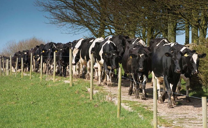Higher milk pricing was a major contributor to total farm incomes for 2022