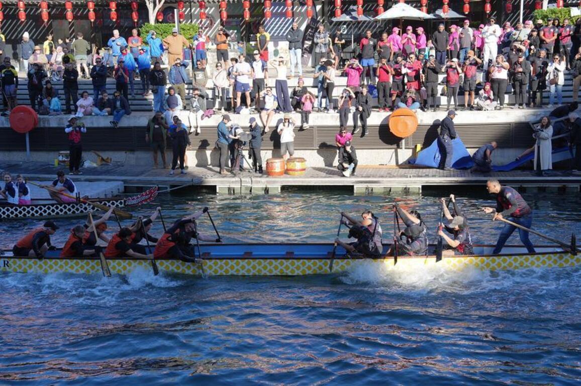 (Hello Africa) Dragon boat festival in Cape Town builds bridge for people-to-people exchange
