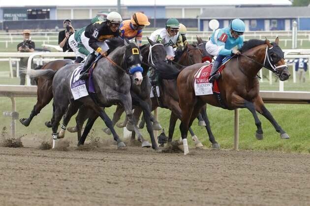 Napoleon Solo captures Preakness; top 3 did not run in Kentucky