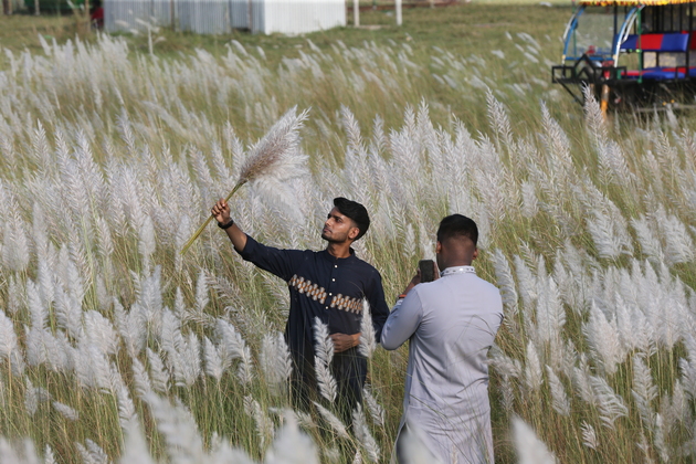 BANGLADESH-DHAKA-KANS-GRASS