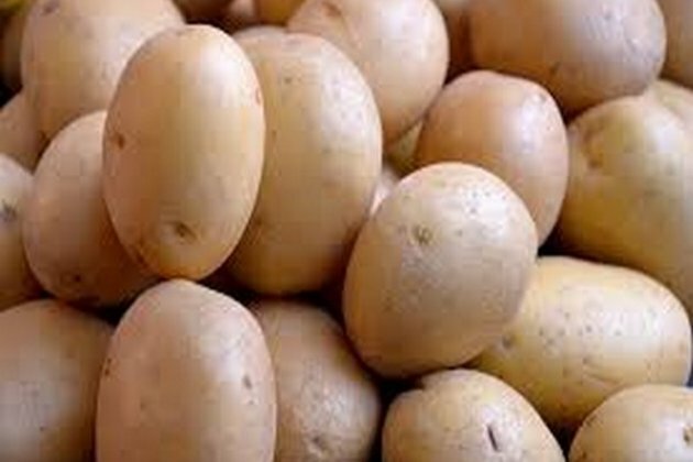 Potato effective for boosting athletic performance: Study