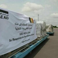 Chadian government receives UAE medical aid to combat cholera outbreak