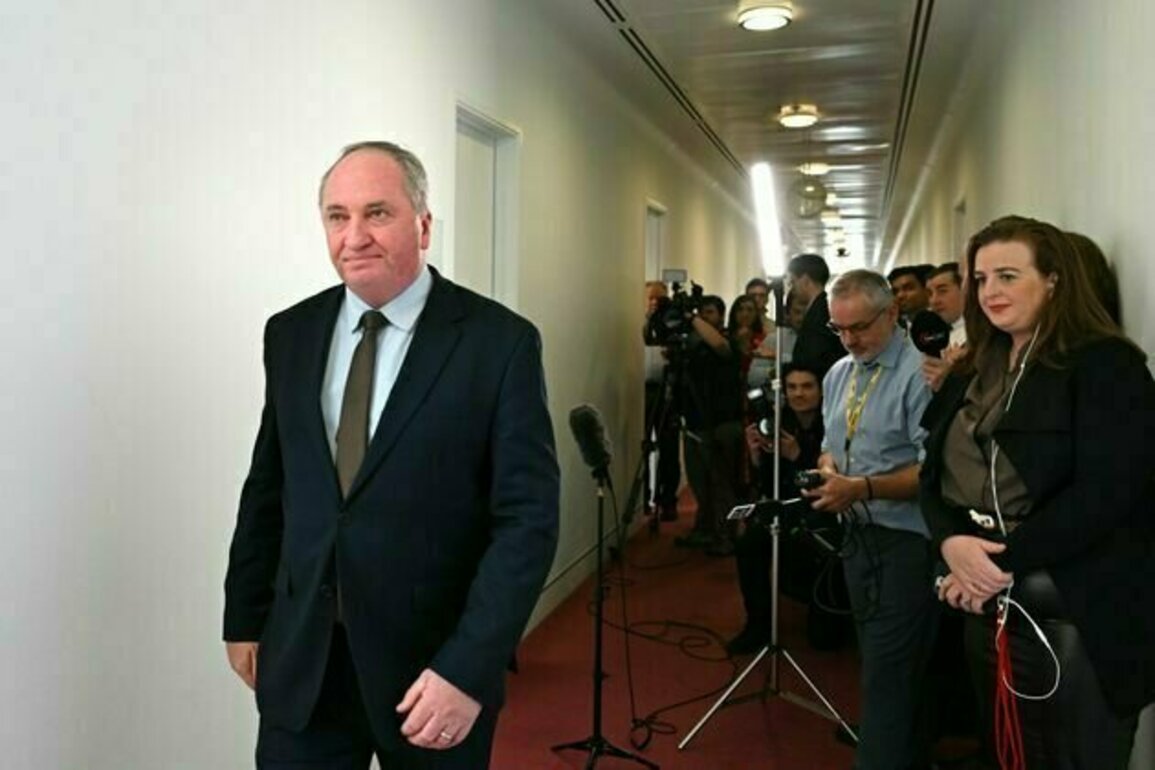 Barnaby Joyce wants Australia to abandon net zero - but his 4 central claims don't stack up