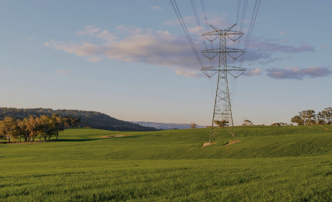 Transgrid begin spread through NSW.