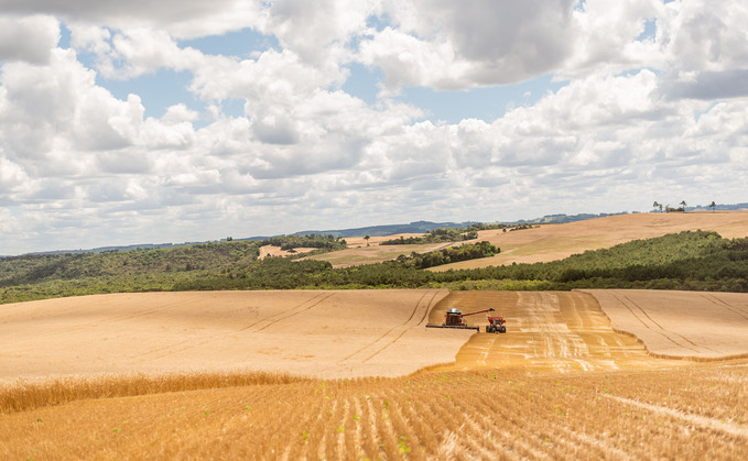 Brazil expecting record grain harvest