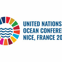 "Need to implement Biodiversity beyond national jurisdiction Treaty": French Special Envoy for UN Ocean Conference