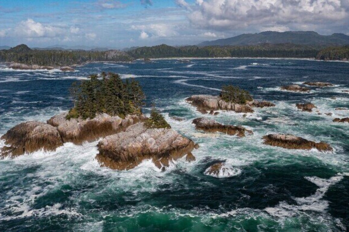Mia-yaltwa Ha'lidzogm hoon: A collaborative approach to marine protection announced for the Central Coast of British Columbia