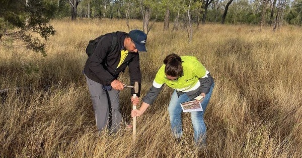 Explorers act as Queensland urged to lift uranium mining ban