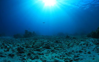 'Seas the day': How choices made now will determine the future of the ocean economy