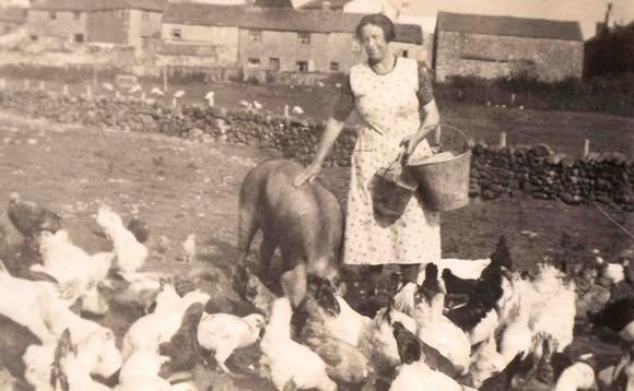 Historyfaithostlecockermouthcumbriafeedinghensandpig1920s main 580x358.jpg
