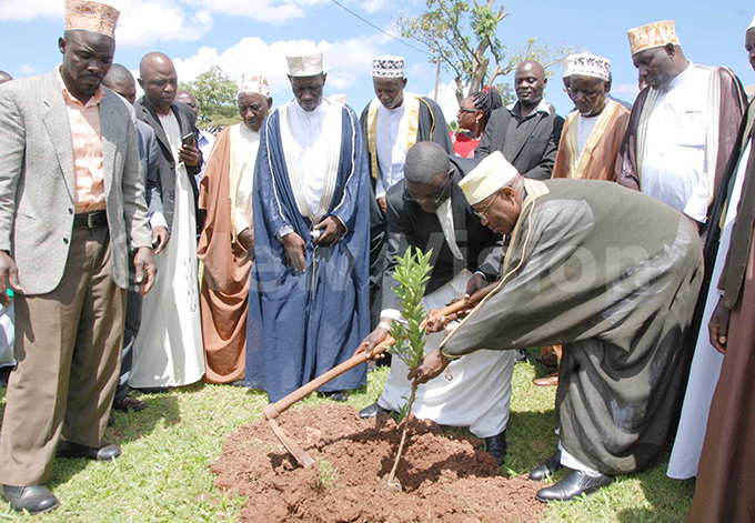  he upreme ufti of ibuli heikh uleman asule dirangwa joined with the second deputy atikkiro of uganda and inister for ducation in uganda ingdom r waha awaase to plant the tree to mark 51 years since the ubiri palace was attacked his was at ubiri alace engo on ay 24 2017hoto by amadhan bbey