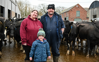 From farm worker to equity partner: One dairy farmer's route up the farming ladder