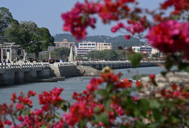 (EcoChina)CHINA-FUJIAN-QUANZHOU-MANGROVE-ECOLOGICAL PROTECTION