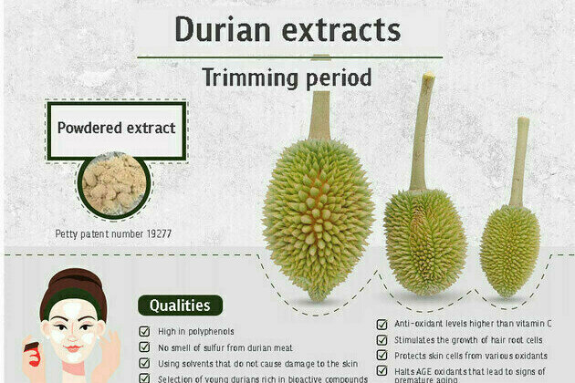 Anti-Oxidant Extracts from Young Durians - Potential Value-Added Cosmetics from Agricultural Waste by Chula