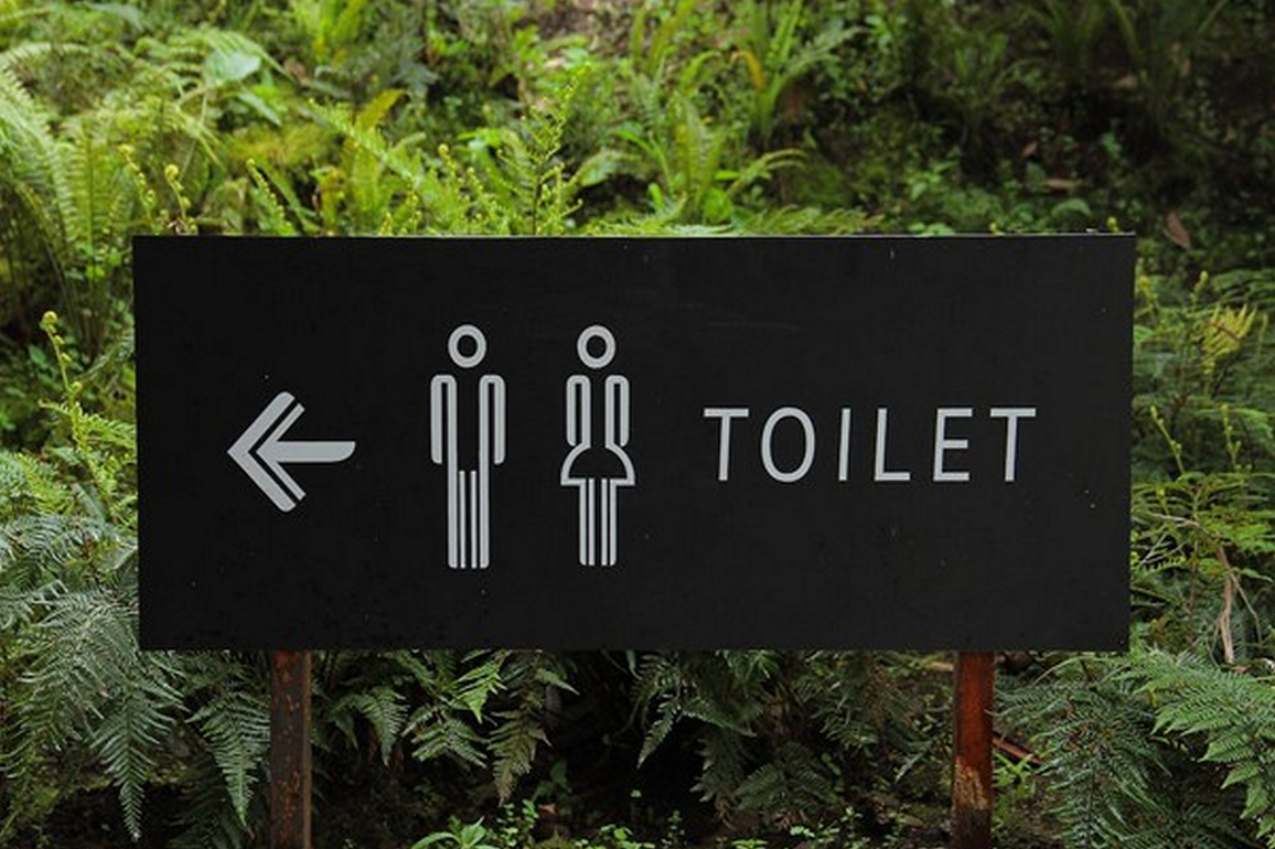 Ministry of Jal Shakti launches "Hamara Shauchalaya, Hamara Bhavishya" Campaign on World Toilet Day 2025