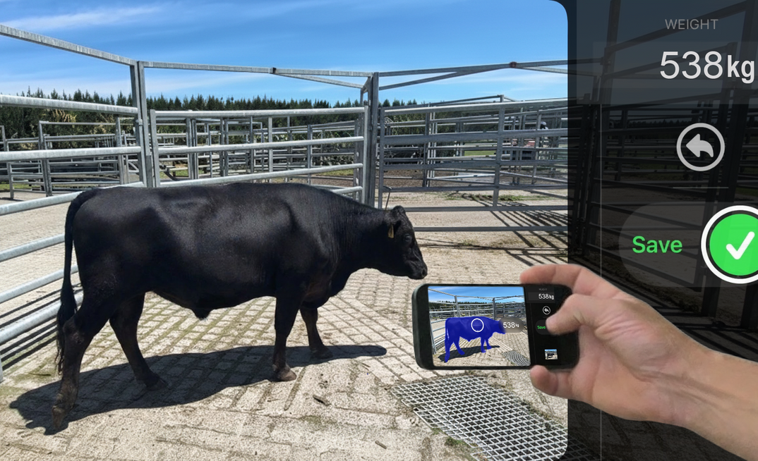 New Zealand's Scanabull technology can instantly weigh livestock using artificial intelligence without scales.