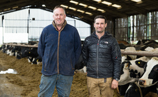 Flying herd policy reduces business risk for County Durham dairy farmers 