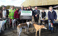Chandlers helps retired greyhound charity with new barn