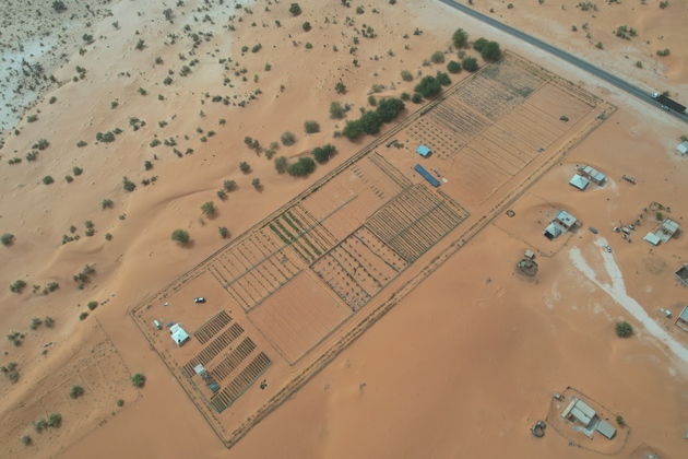 MAURITANIA-BIR EL BARKA-DESERT CONTROL-CHINA-AFRICA GREEN TECHNOLOGY PARK