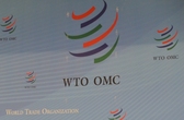 India achieves a significant victory at the WTO