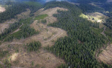  Westhaven Gold's Shovelnose in British Columbia, Canada