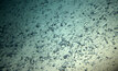  Pesquisadores da USP encontram jazidas de minérios no fundo mar/Divulgação