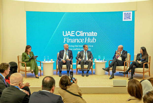 UAE Pavilion at COP29 discusses means to develop climate finance