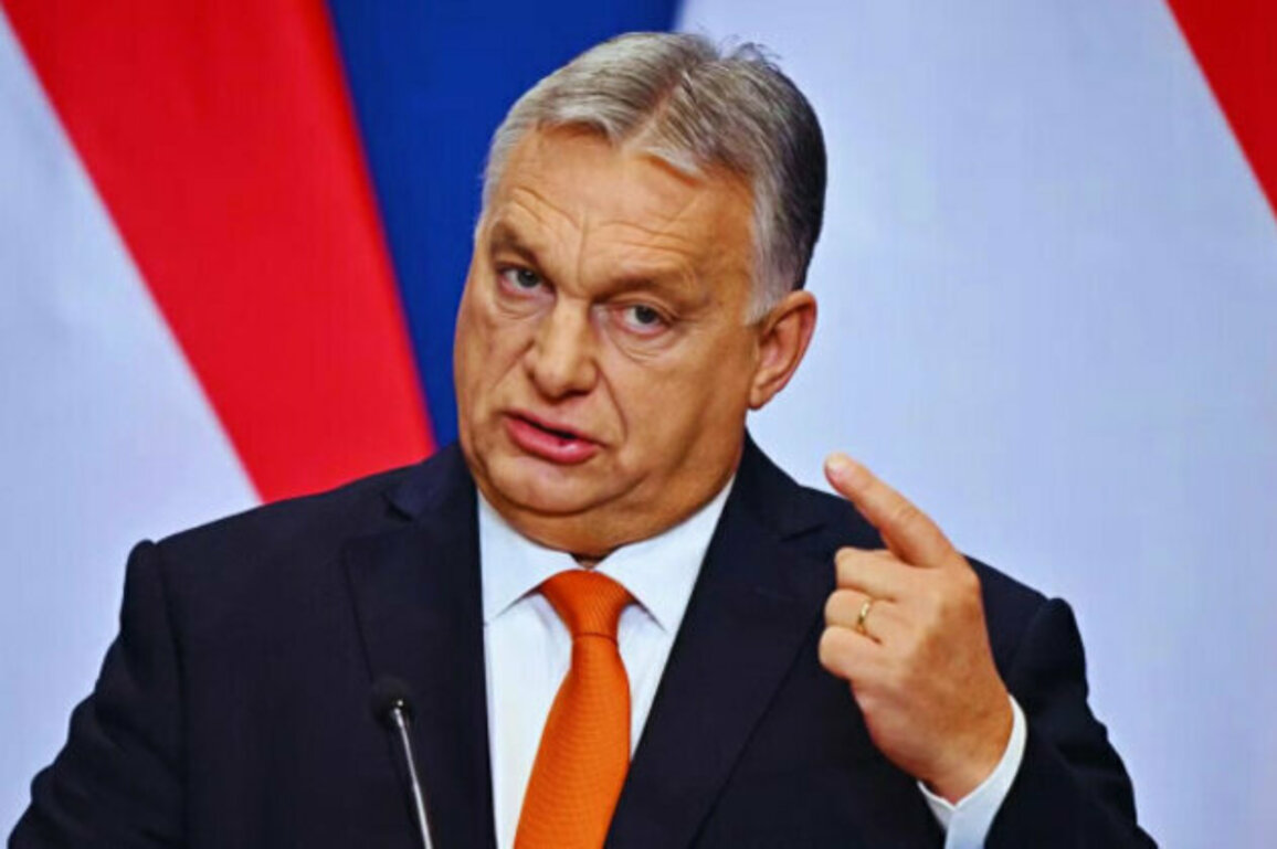 Orban Warns: 'Brussels Prepares for War'
