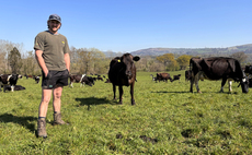 Dairy special: North Wales farm reseeds to convert from arable to organic dairy