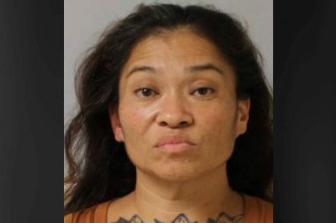 Judge maintains bail on Hilo woman facing drug, vehicle theft charges