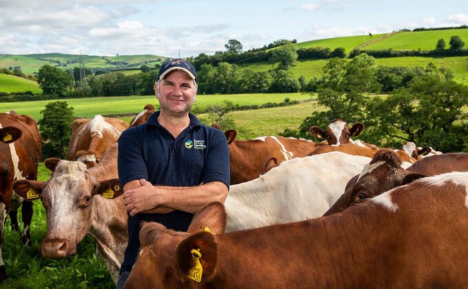 James farms Dairy Shorthorns east of Kendal, Cumbria