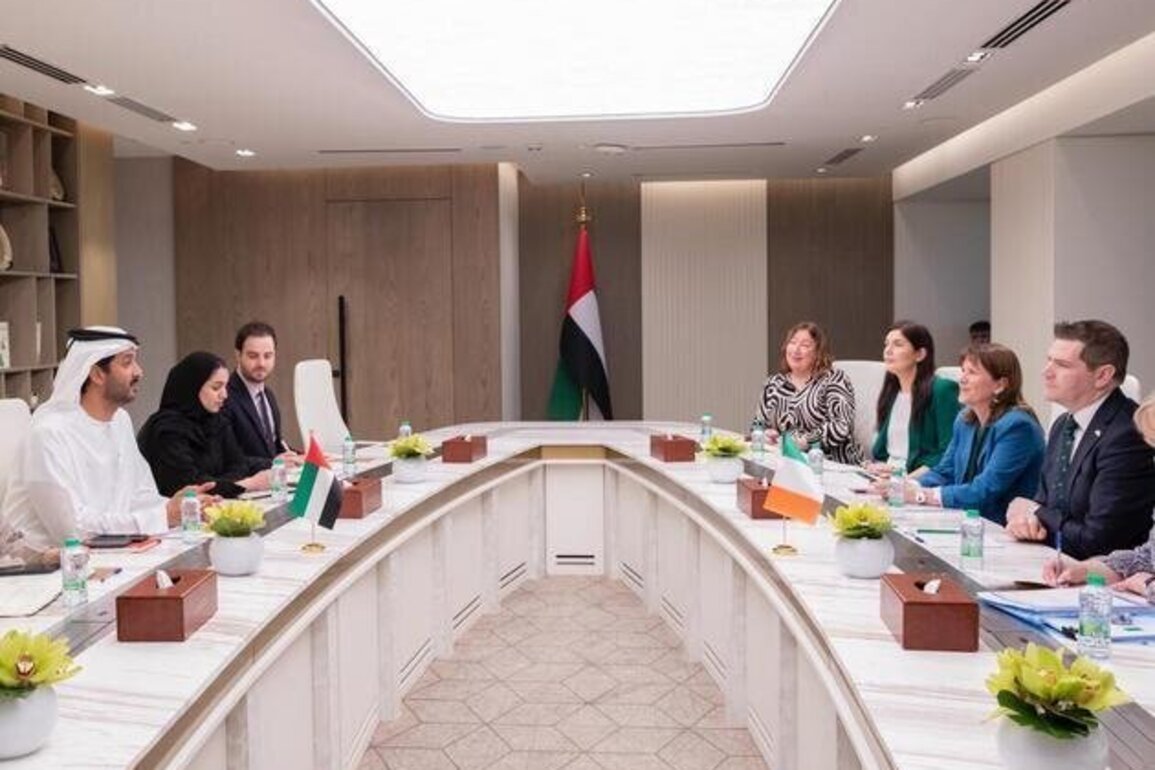 UAE, Ireland discuss expanding cooperation, enhancing connectivity between business communities