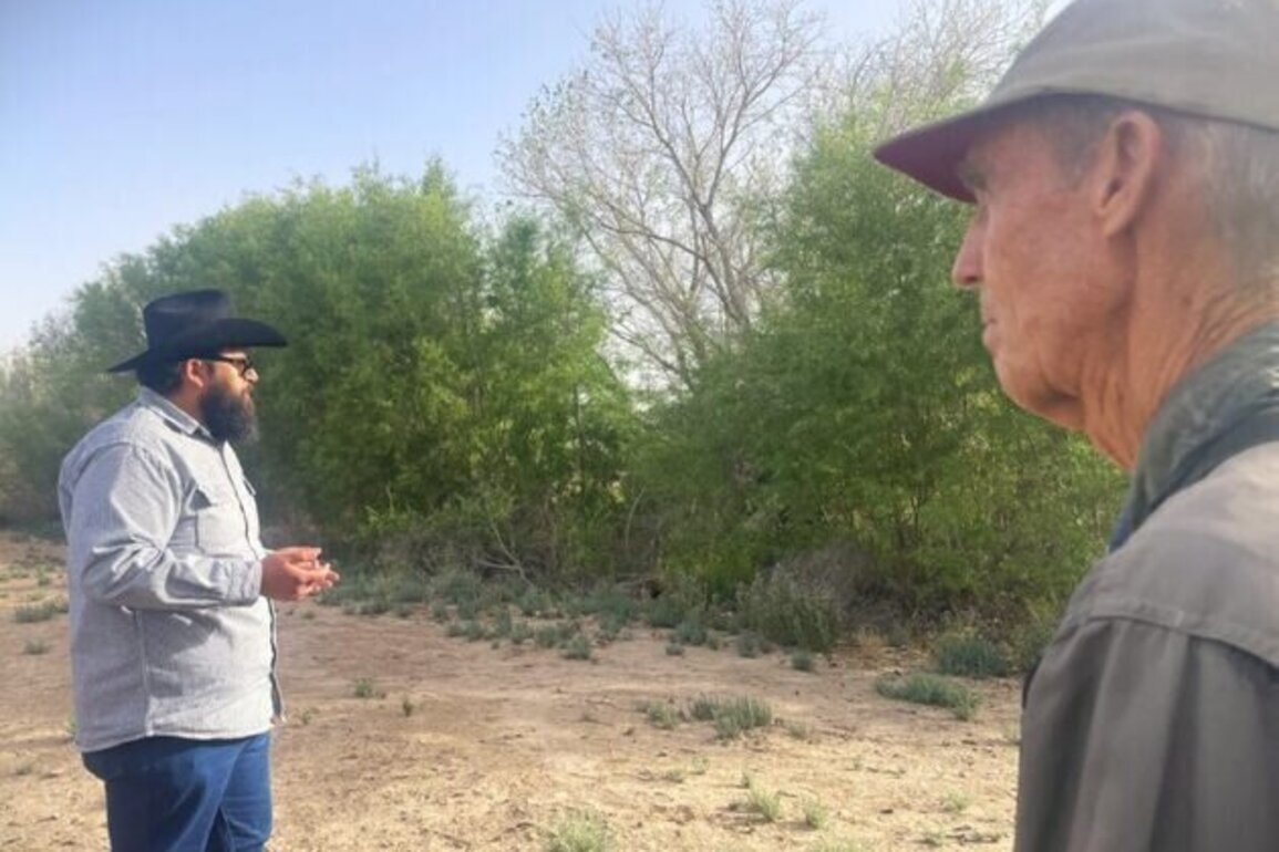 Just add water: West Texas wetlands project brings new life to ancient riverbed