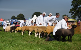  OPINION: Agricultural shows need more than just financial support