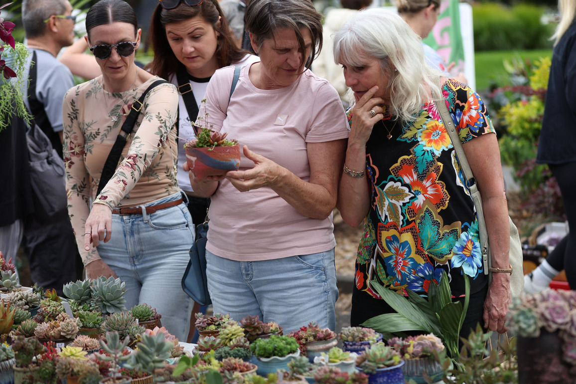NEW ZEALAND-AUCKLAND-PLANT MARKET