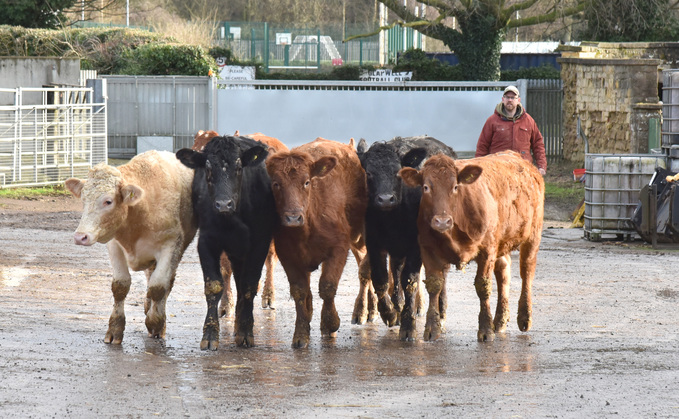 Beef special: Experience pays off on Derbyshire beef finishing unit