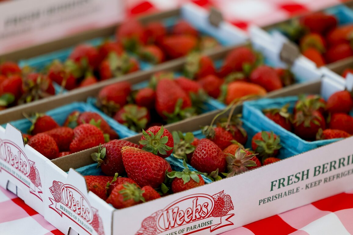Weeks Berries of Paradise shares a long history with Park City Farmers Market - Park Record