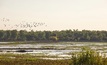 Kakadu. Credit: ERA.