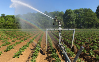 Living with water highs and lows: How farmers are learning to harvest floodwater