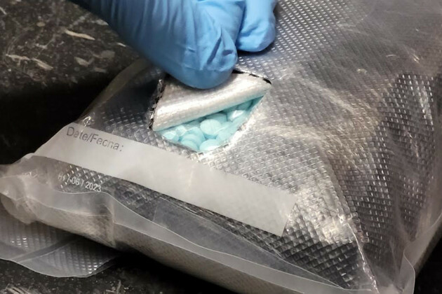 Border Patrol seizes large amount of fentanyl in Pine Valley