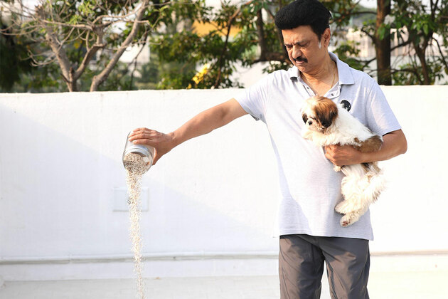Tamil Nadu CM MK Stalin urges people to provide water, food to birds amid summer heat