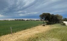 A research project is focusing on roadside weed management on the Fleurieu and Yorke Peninsulas in South Australia and findings may be able to be applied and utilised on a broader scale.