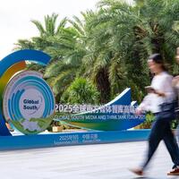 Scholars hail Chinese modernization, new development pathways at global forum