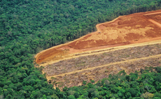 Global finance sector accused of making only 'limited progress' on tackling deforestation