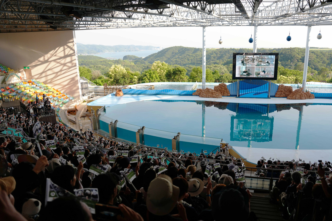 JAPAN-WAKAYAMA-GIANT PANDAS-RETURN-CHINA