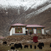 Earthquake of magnitude 4.1 strikes Tibet