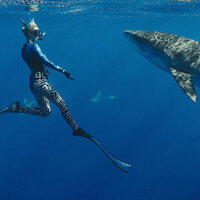Netflix's Shark Whisperer wants us to think 'sexy conservation' is the way to save sharks - does it have a point?