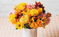 PAI buys MyFlower from LFPI and Montefiore 