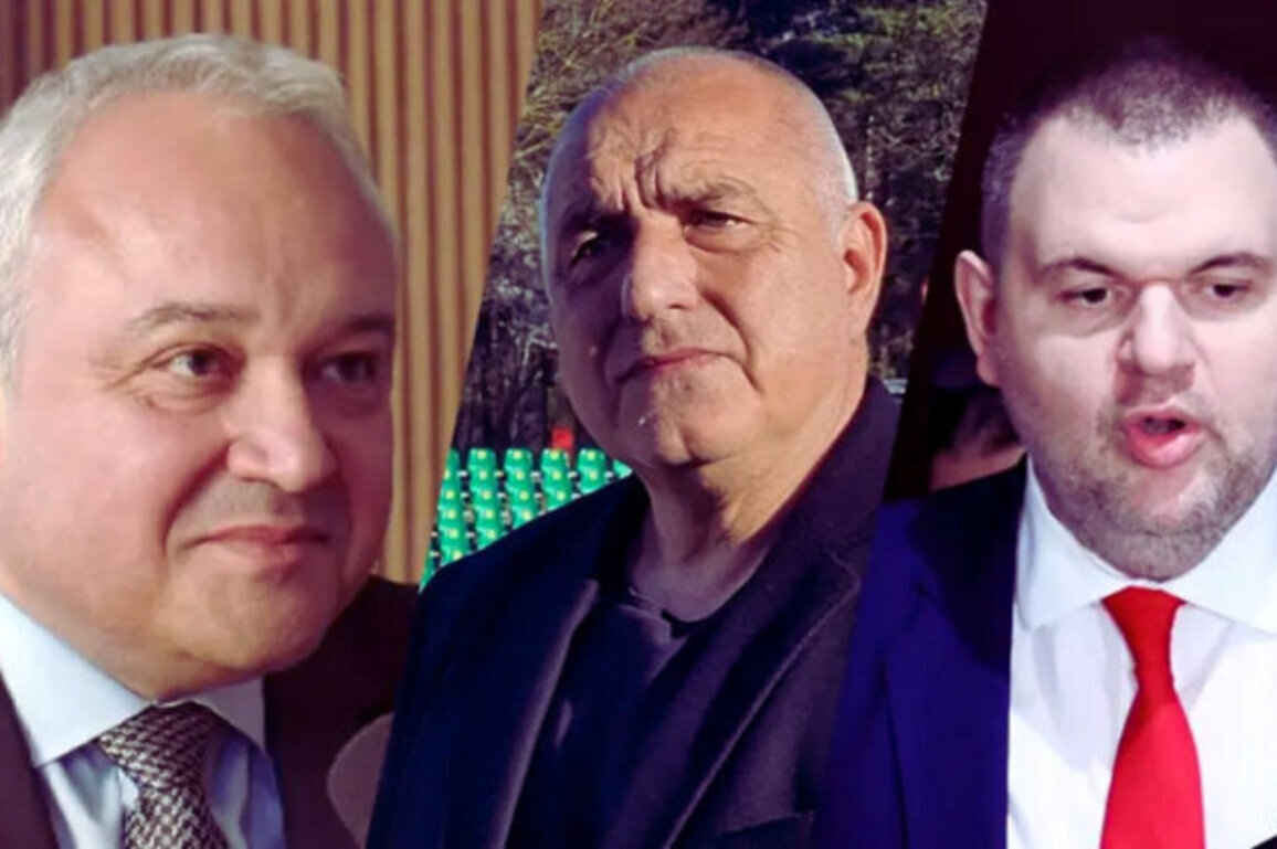 Demerdzhiev: Peevski and Borissov Do Not Need State Protection